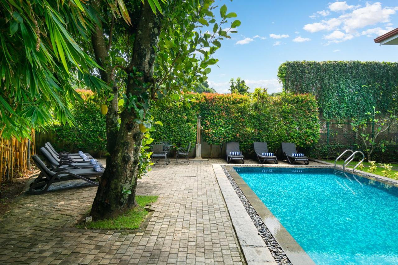 קנדי Clove Villa מראה חיצוני תמונה